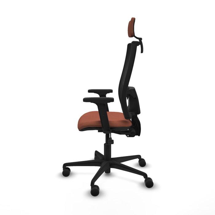 Piqueras Y Crespo Bormate Chaise de Bureau Ergonomique, Mécanisme Asynchrone, Marron/Noir