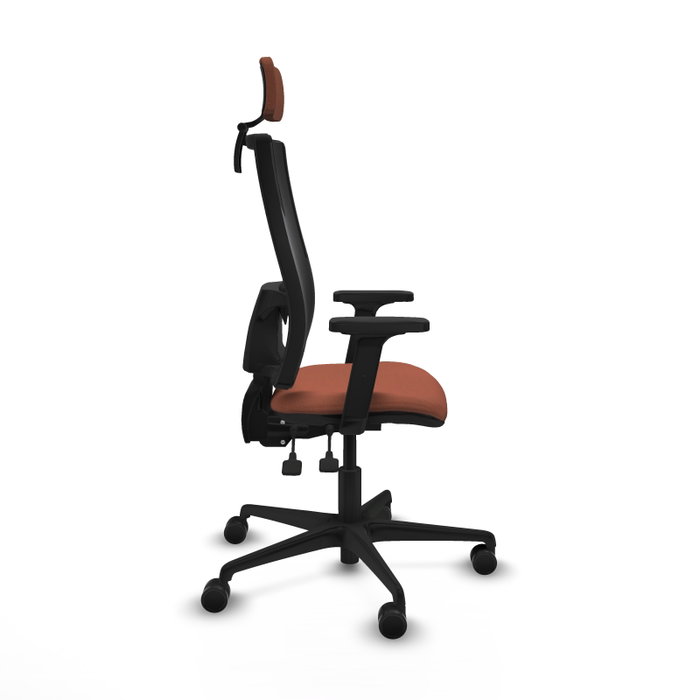 Piqueras Y Crespo Bormate Chaise de Bureau Ergonomique, Mécanisme Asynchrone, Marron/Noir