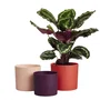 Elho Pot de fleurs Lex Pott - Lot de 3 pots de 14 cm - Couleurs Rouge Rose Violet - Dimensions 14 x 13.8 x 12 cm - Intérieur - Plastique 100% recyclé