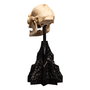 Le Seigneur des Anneaux statuette Skull of Lurtz 14 cm