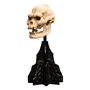Le Seigneur des Anneaux statuette Skull of Lurtz 14 cm