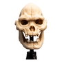 Le Seigneur des Anneaux statuette Skull of Lurtz 14 cm