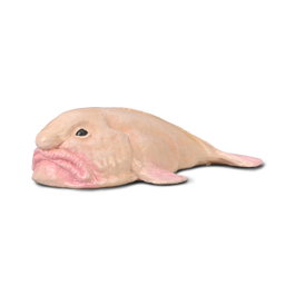 COLLECTA Pez Borrón - Échelle L