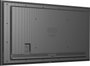 Iiyama 50" 3840x2160 UHD IPS Écran 24/7, 500cd/m², HDMI, USB-C, Wi-Fi, Android 14