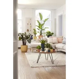 ELHO Pot de fleurs rond VIBES en plastique bleu foncé - Diamètre 25 cm x Hauteur 23 cm - Qualité supérieure