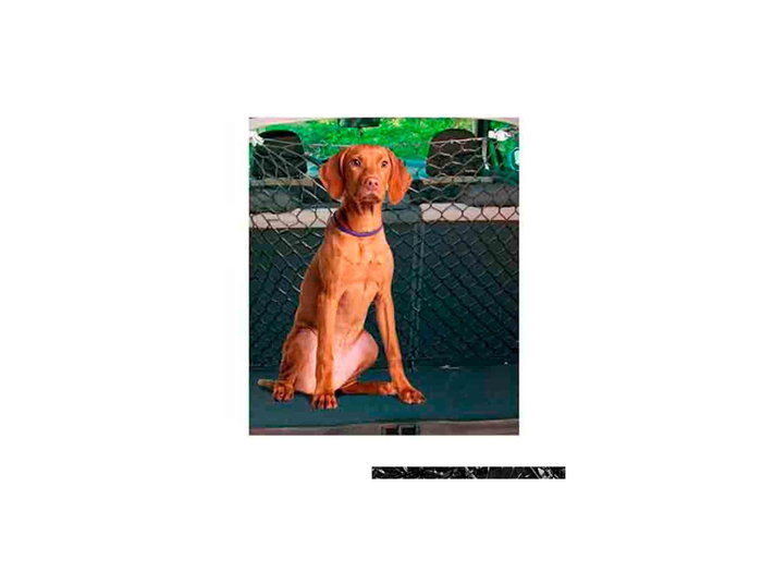 Freedog Barrière de sécurité rouge 140 x 120 cm Freedog Barrière de sécurité rouge 140 x 120 cm