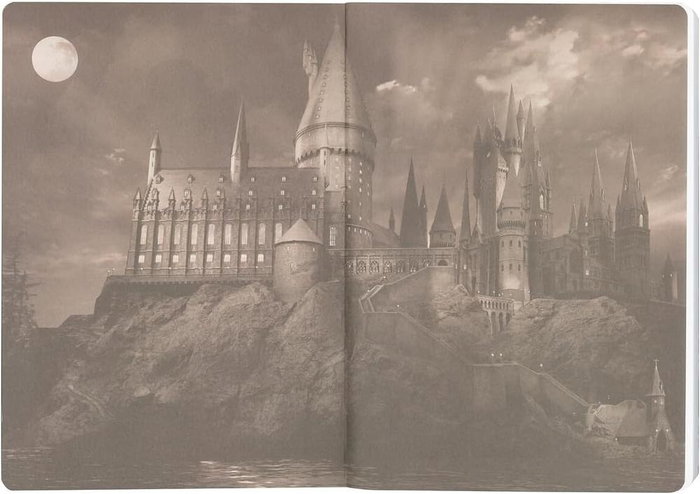Sd toys Cahier Gryffindor Harry Potter à couverture souple rouge