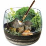 Clementoni Terrarium Harry Potter - Cabane de Hagrid à reproduire