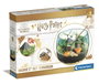 Clementoni - Coffret de jeu Terrarium Harry Potter - Reproduction de la cabane de Hagrid - Écosystème miniature avec plâtre, moules et graines