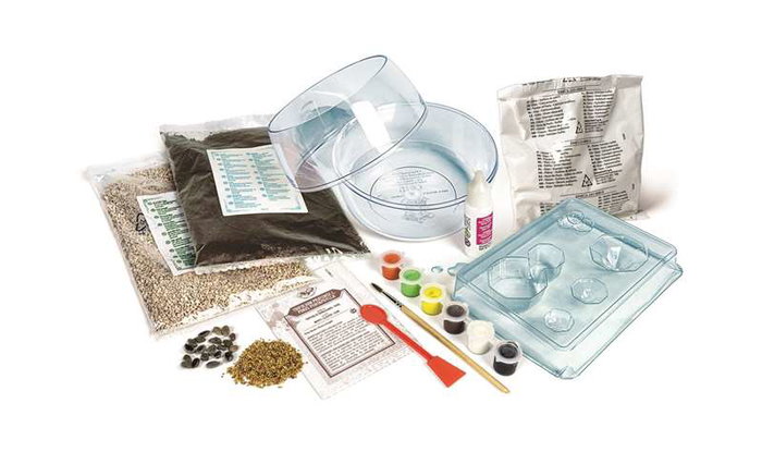 Clementoni - Coffret de jeu Terrarium Harry Potter - Reproduction de la cabane de Hagrid - Écosystème miniature avec plâtre, moules et graines