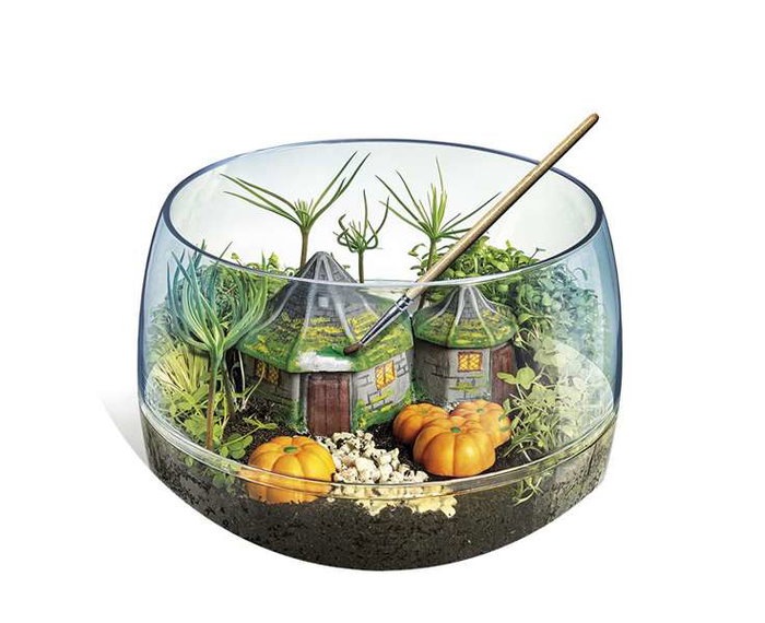 Clementoni - Coffret de jeu Terrarium Harry Potter - Reproduction de la cabane de Hagrid - Écosystème miniature avec plâtre, moules et graines