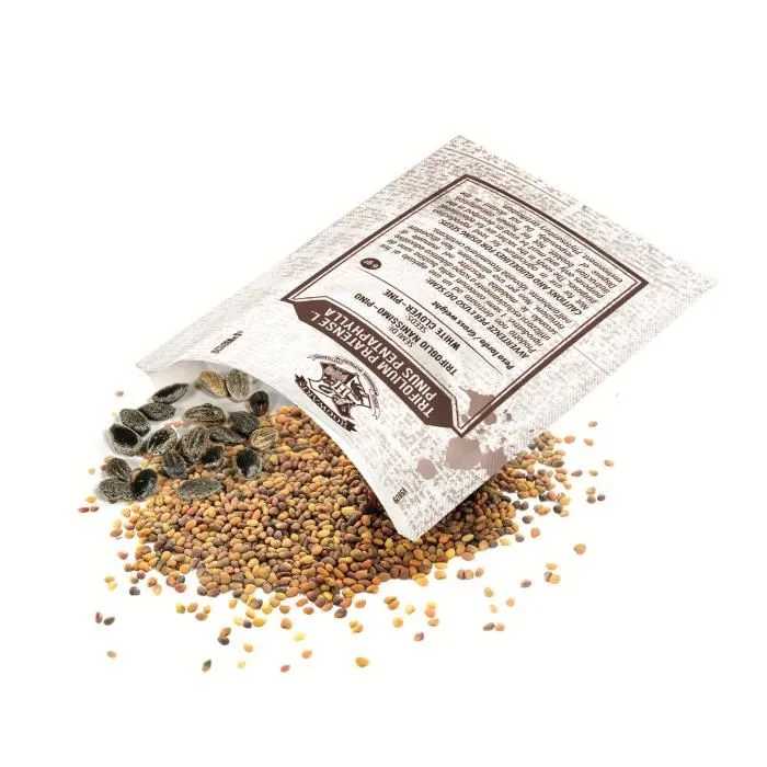 Clementoni - Coffret de jeu Terrarium Harry Potter - Reproduction de la cabane de Hagrid - Écosystème miniature avec plâtre, moules et graines