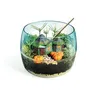Clementoni - Coffret de jeu Terrarium Harry Potter - Reproduction de la cabane de Hagrid - Écosystème miniature avec plâtre, moules et graines