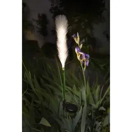 Galix Décoration lumineuse solaire Plumeau G4515 avec 10 LED blanc chaud - 990 mm - Autonomie 8h