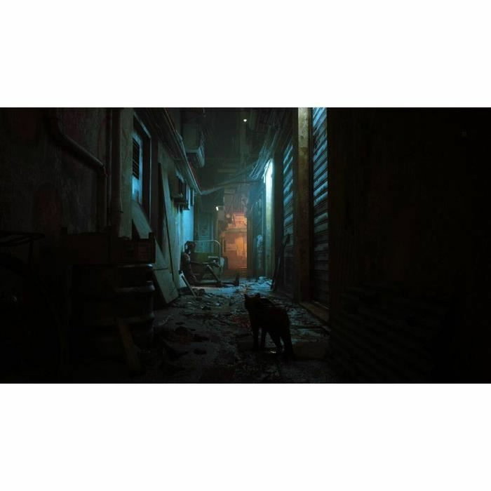 Just For Games Stray - Nintendo Switch