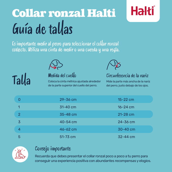 Muselière Company of Animals COBALT Bleu 2