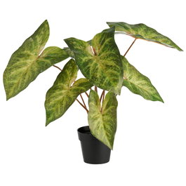 Day Plante artificielle Caladium verte avec pot noir