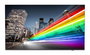 Philips Téléviseur professionnel Android 65" 4K Ultra HD écran LCD rétroéclairage LED 3840x2160 DVB-T2/C Chromecast intégré