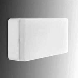 Esera Éclairage de Secours LED 500Lm 1 Heure IP44