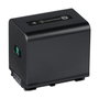 Sony NP-FV70A Batterie Li-ion pour série V