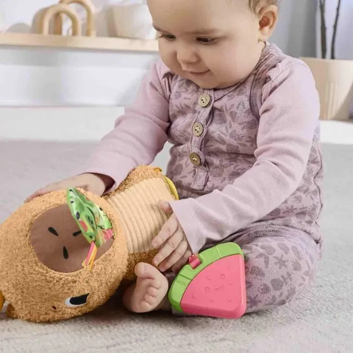 Fisher-Price HYR54 - Mon Capybara Câlins, Peluche Anneau de Dentition et Hochet Sensoriel pour Bébé dès 3 mois Fisher-Price HYR54 - Mon Capybara Câlins, Peluche Anneau de Dentition et Hochet Sensoriel pour Bébé dès 3 mois