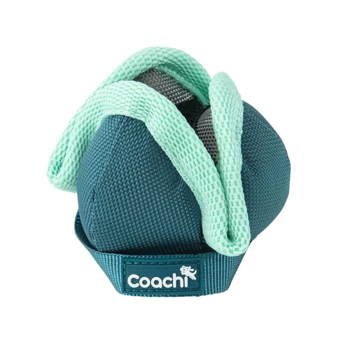 Harnais pour Chien Coachi