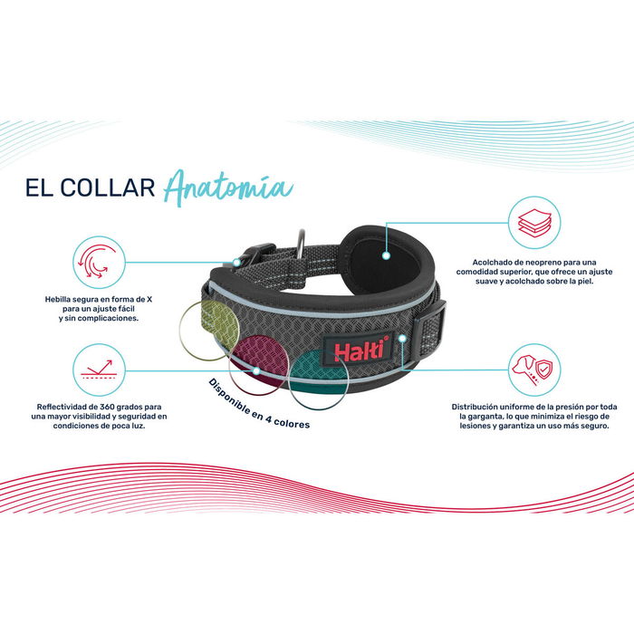 Collier pour Chien Company of Animals