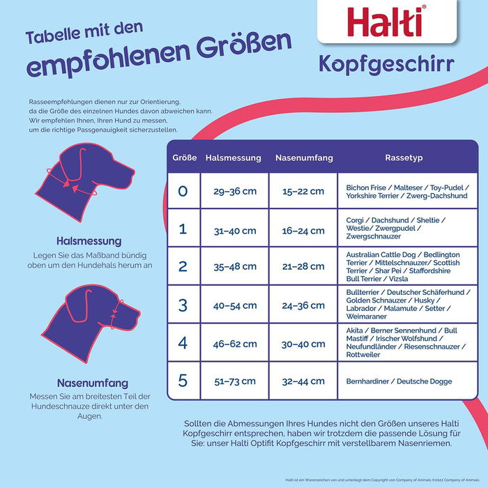 Muselière Company of Animals BURNT Orange 3