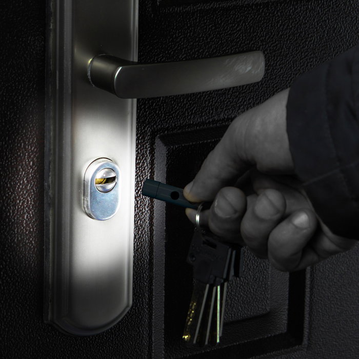 Mister Gadget Porte-clés Lanterne Laser et LED