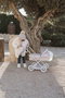 Muñecas Arias - Poussette Fantasy avec capote et sac de transport - 37x56x56 cm, Hauteur guidon : 55 cm, Pour enfant à partir de 3 ans