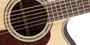 TAKAMINE GD71CE-NAT