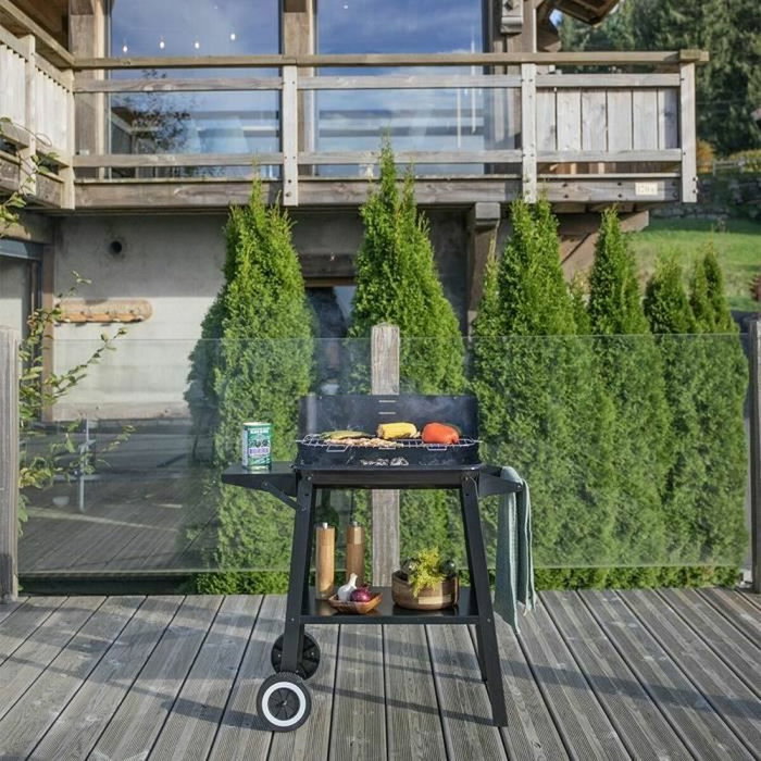 Livoo Barbecue à charbon DOC328 Noir