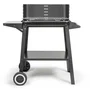 Livoo Barbecue à Charbon DOC328 - Acier Inox - Surface Cuisson 48.5 x 28.8 cm - Hauteur Réglable 70-84 cm - Avec Tablette Latérale
