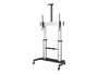 Support de TV Startech STNDMTV100 100"