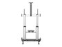 Support de TV Startech STNDMTV100 100"