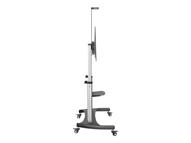 Support de TV Startech STNDMTV100 100"