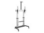 Support de TV Startech STNDMTV100 100"