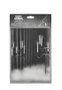 NECA Vampira Silver Screen Edition Toony Terrors figurine de action