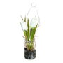 BigBuy Home Plante décorative Blanc et Vert