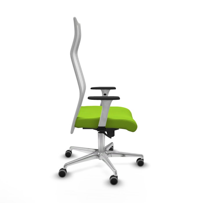 Piqueras y Crespo Chaise de Bureau Albacete Pistache et Blanc Piqueras y Crespo Chaise de Bureau Albacete Pistache et Blanc