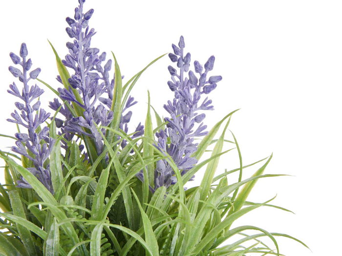 IBERGARDEN Maceta Lavanda Surt 3 (Lot de 24)