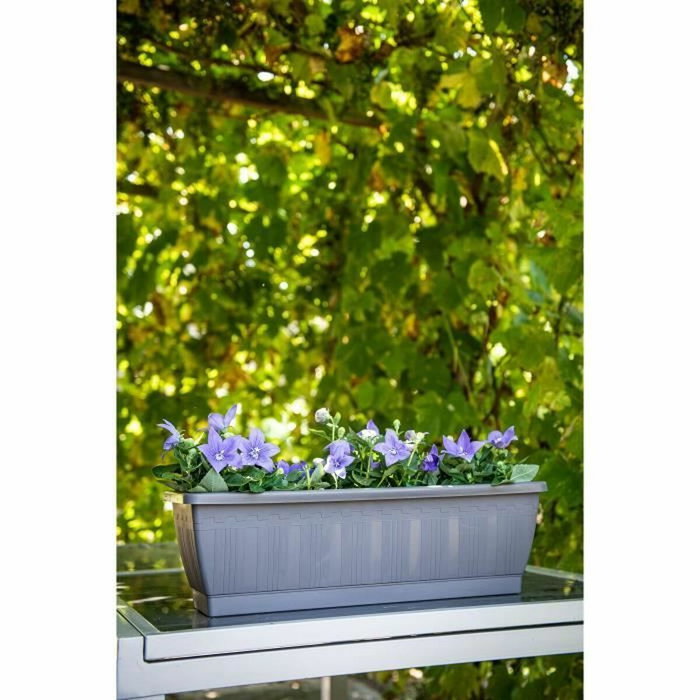 Garden ID Jardinière Terraflor Anthracite 60cm Garden ID Jardinière Terraflor Anthracite 60cm
