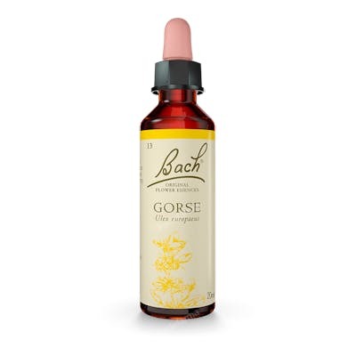 Flores Bach Original Gorse Aulaga 20Ml - Fleurs de Bach Flores Bach Original Gorse Aulaga 20Ml - Fleurs de Bach