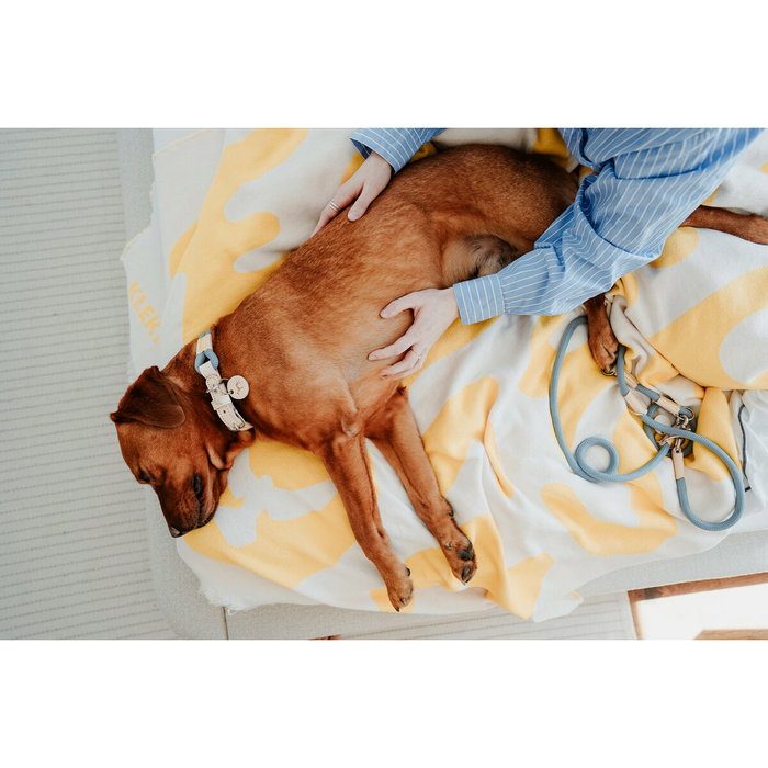 Collier pour Chien Hunter Malia Bleu L 50-59 cm