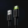 Green Cell KABGC06 Câble USB USB-C vers USB-A Noir et Vert 1,2 m