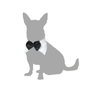 BigBuy Carnival Déguisement Nœud Papillon Noir Taille S pour Chien