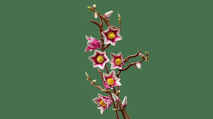 Lego Botanicals Ramas Magnolia - Set de Décoration Floral pour Adultes, Fleurs de Magnolia Rose et Blanc, 18 Ans et Plus