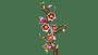Lego Botanicals Ramas Magnolia - Set de Décoration Floral pour Adultes, Fleurs de Magnolia Rose et Blanc, 18 Ans et Plus