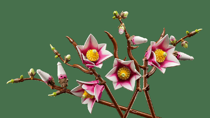 Lego Botanicals Ramas Magnolia - Set de Décoration Floral pour Adultes, Fleurs de Magnolia Rose et Blanc, 18 Ans et Plus