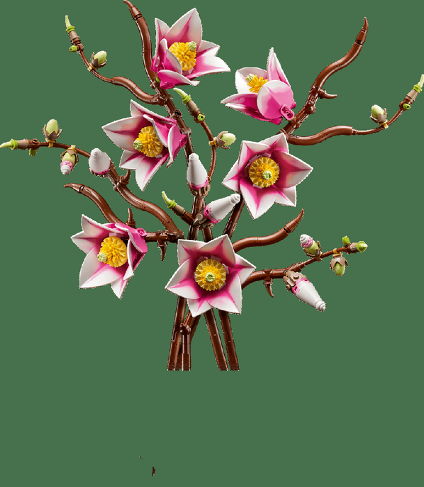 Lego Botanicals Ramas Magnolia - Set de Décoration Floral pour Adultes, Fleurs de Magnolia Rose et Blanc, 18 Ans et Plus